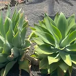 Casa Estela Villaverde (Fuerteventura)