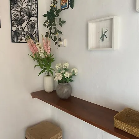 Casa Estela *